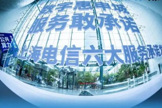 “零门槛”服务暖人心 上海电信以免费移机换新织密无障碍网络